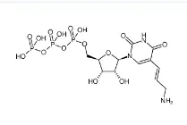 CAS號(hào)：112131-73-4，Aminoallyl-UTP，氨基烯丙基尿苷三磷酸