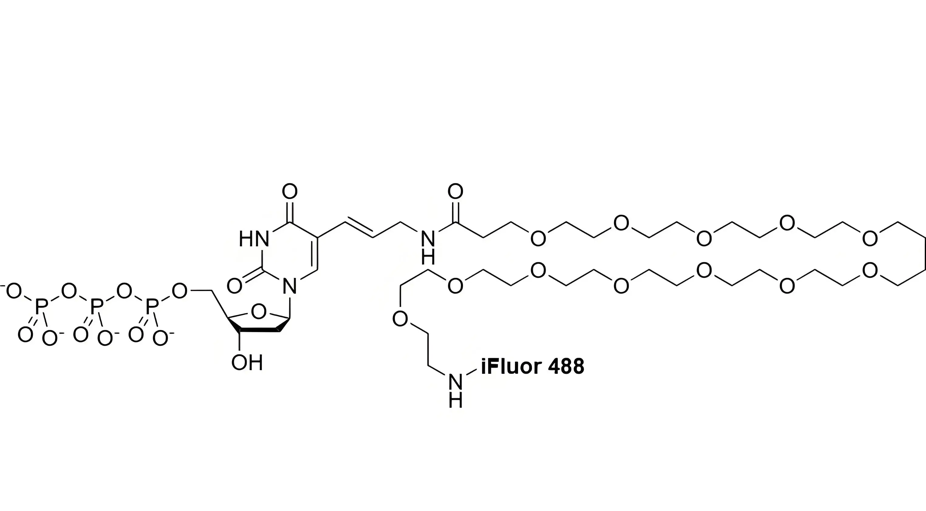 iFluor488-PEG12-dUTP，iFluor488-十二聚乙二醇-脫氧尿苷三磷酸的光譜特性解析及FISH濾光片選配指南
