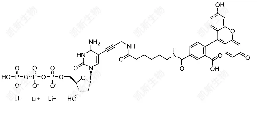 FAM-11-dCTP，熒光素標記脫氧胞苷三磷酸：高效熒光標記的脫氧胞苷三磷酸衍生物及其分子生物學(xué)應(yīng)用