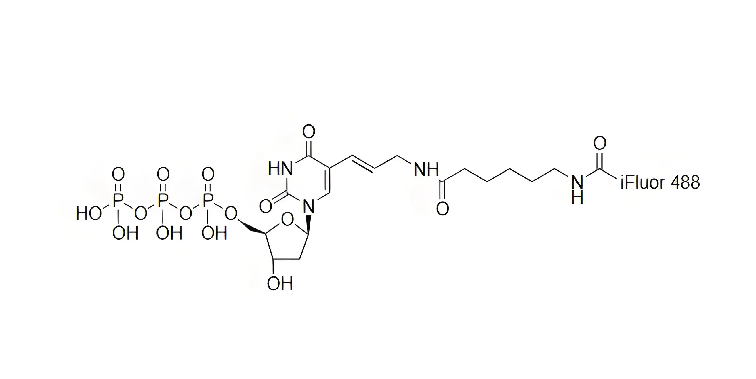 iFluor488-dUTP，iFluor488-脫氧尿苷三磷酸在PCR和逆轉(zhuǎn)錄中的表現(xiàn)