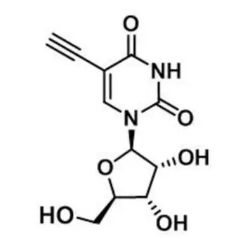 5-Ethynyluridine，5-EU，69075-42-9，核心結(jié)構(gòu)特點是在尿苷的5位碳上引入了一個乙炔基