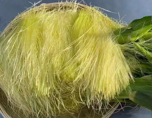 痛風(fēng)食療指南！8種低嘌呤食物建議常吃，溫和緩解不適少?gòu)?fù)發(fā)
